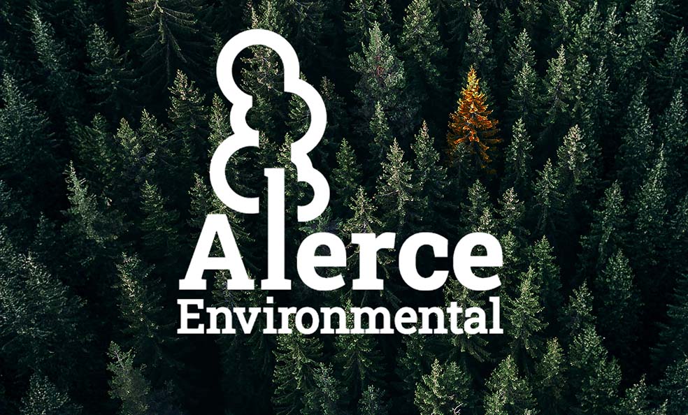Alerce Environmental logo overlaid on a forest.